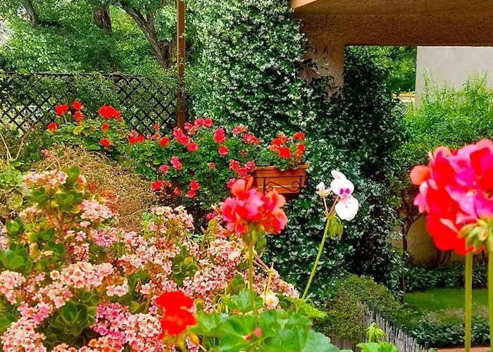 Apartment Elisa E Carla House Beautiful On The Cassia *
